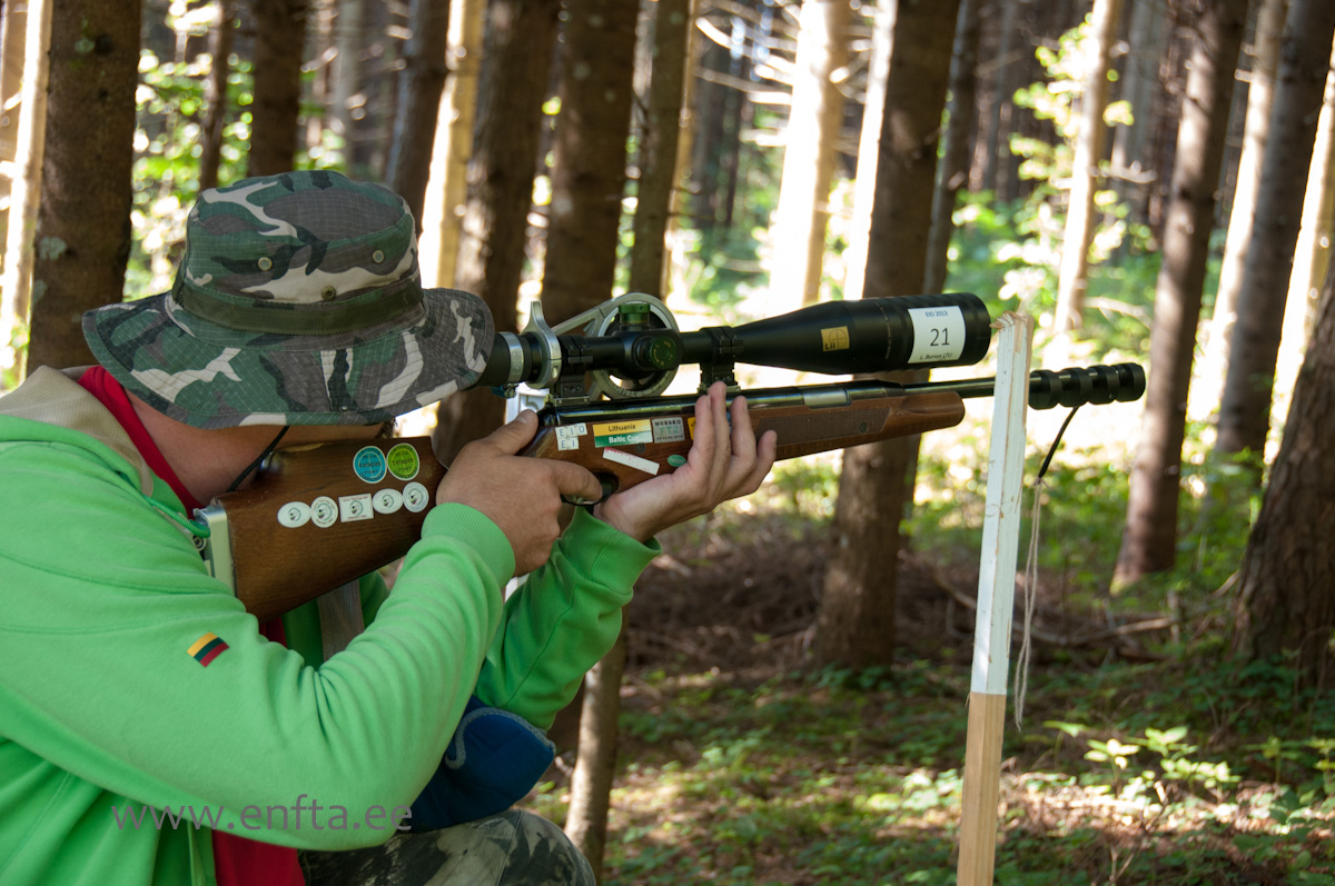 Linas Burvys LT, Air Arms Pro Sport, Nikko Stirling Diamond 10-50x60